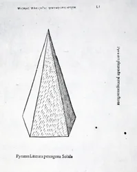 Pyramis Laterata Pentagona Solida, Illustration from 